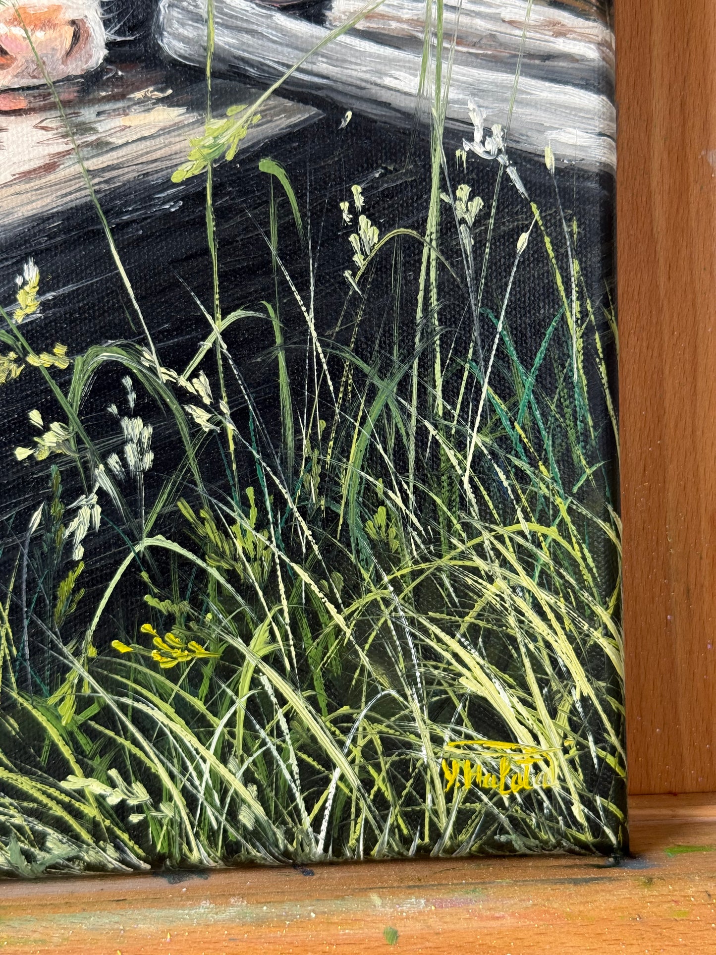 "Alpine Calves" oil painting
