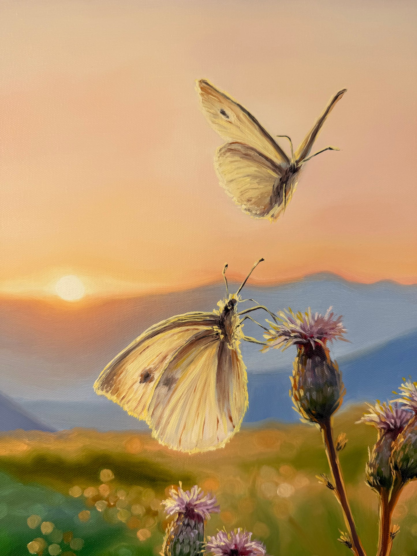 „Butterflies at Down“
