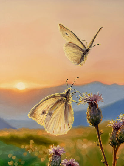 „Butterflies at Down“