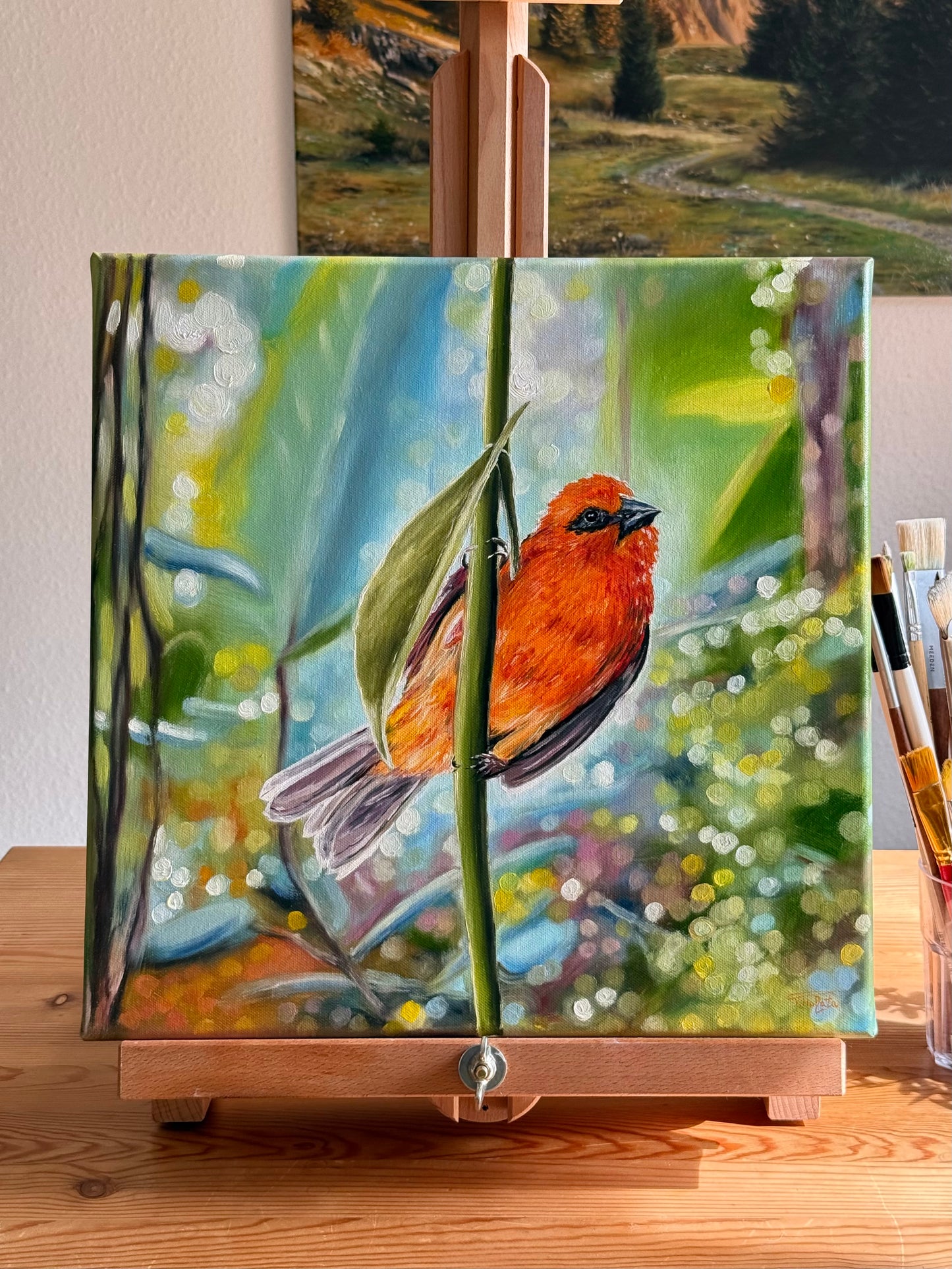 “Red Fody” oil painting