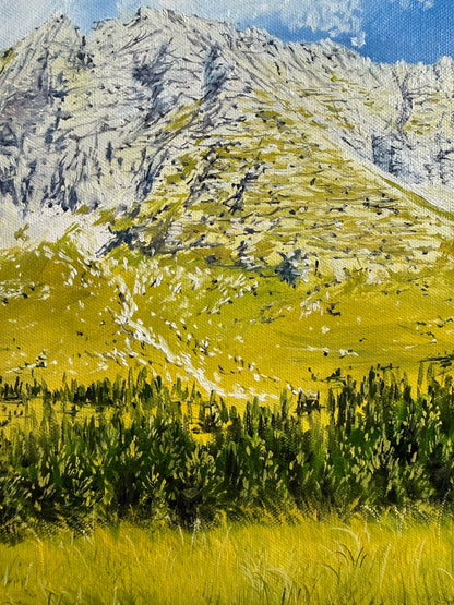 “Malga Montasio, Italy”