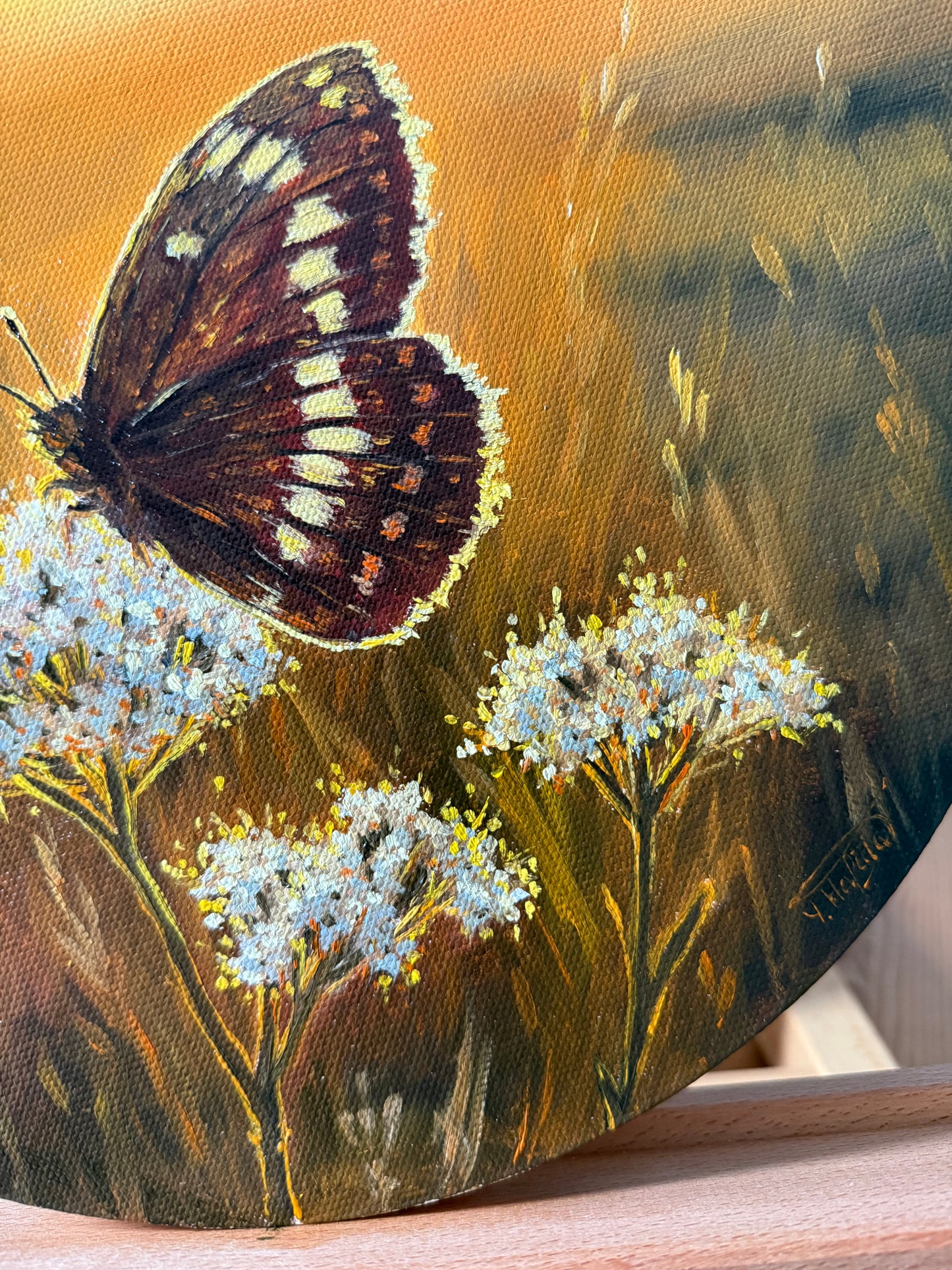 “Sunlit Bloom and Butterfly”