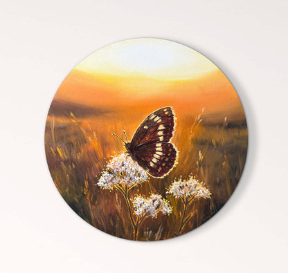 “Sunlit Bloom and Butterfly”