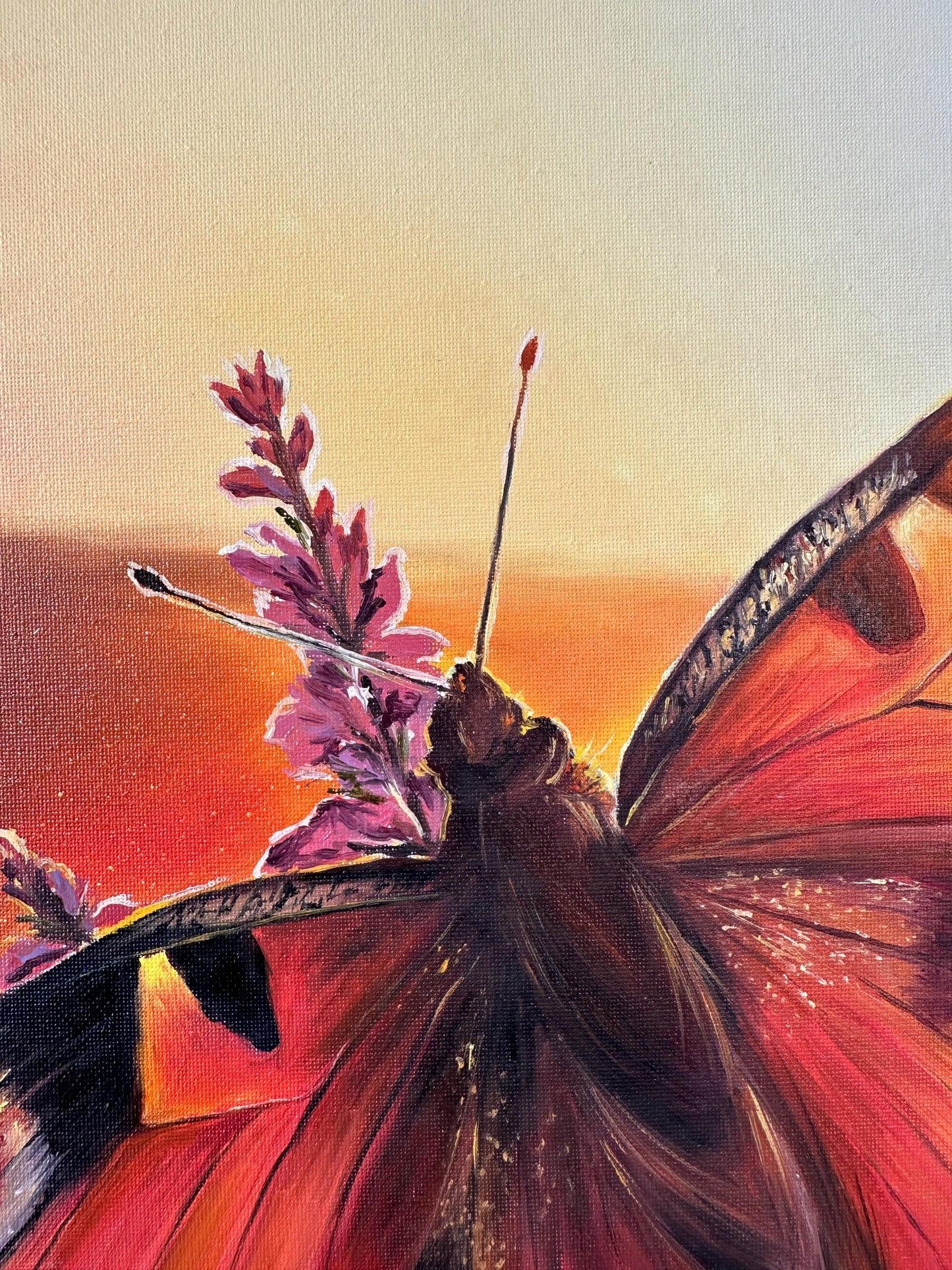 "Butterfly in Lüneburger Heide"