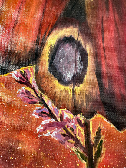 "Butterfly in Lüneburger Heide"