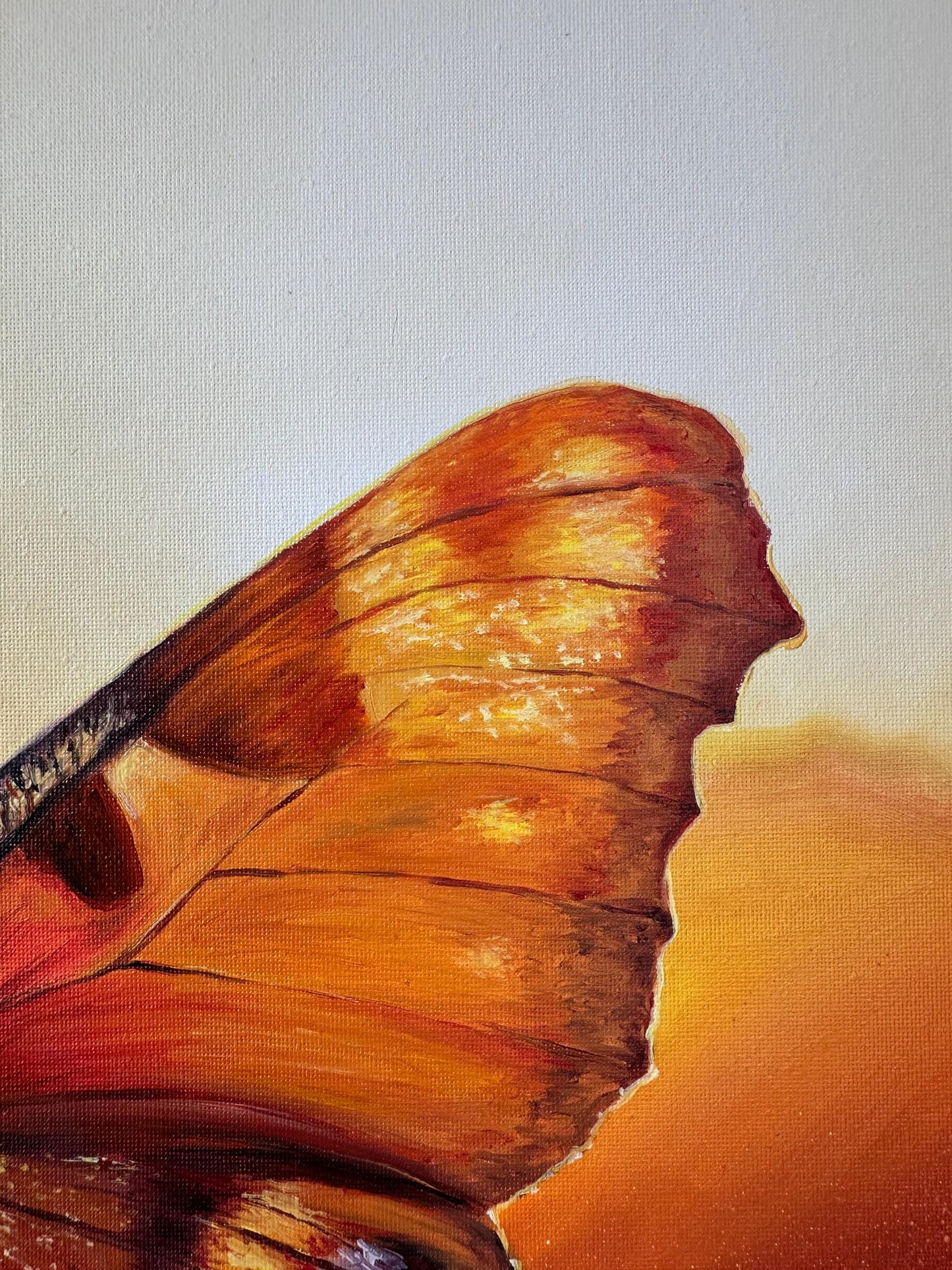 "Butterfly in Lüneburger Heide"