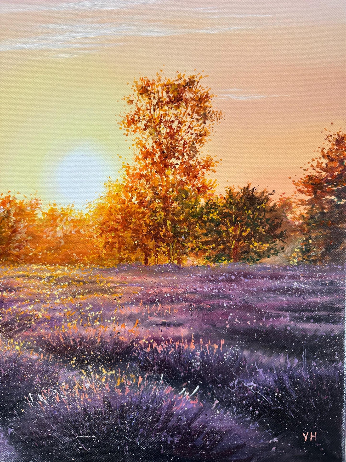 "Lüneburger Heide Wiese"