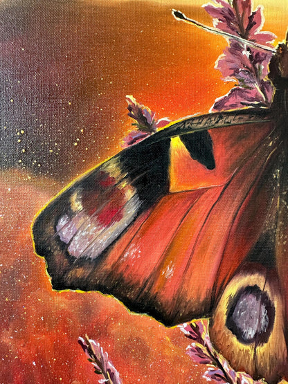 "Butterfly in Lüneburger Heide"