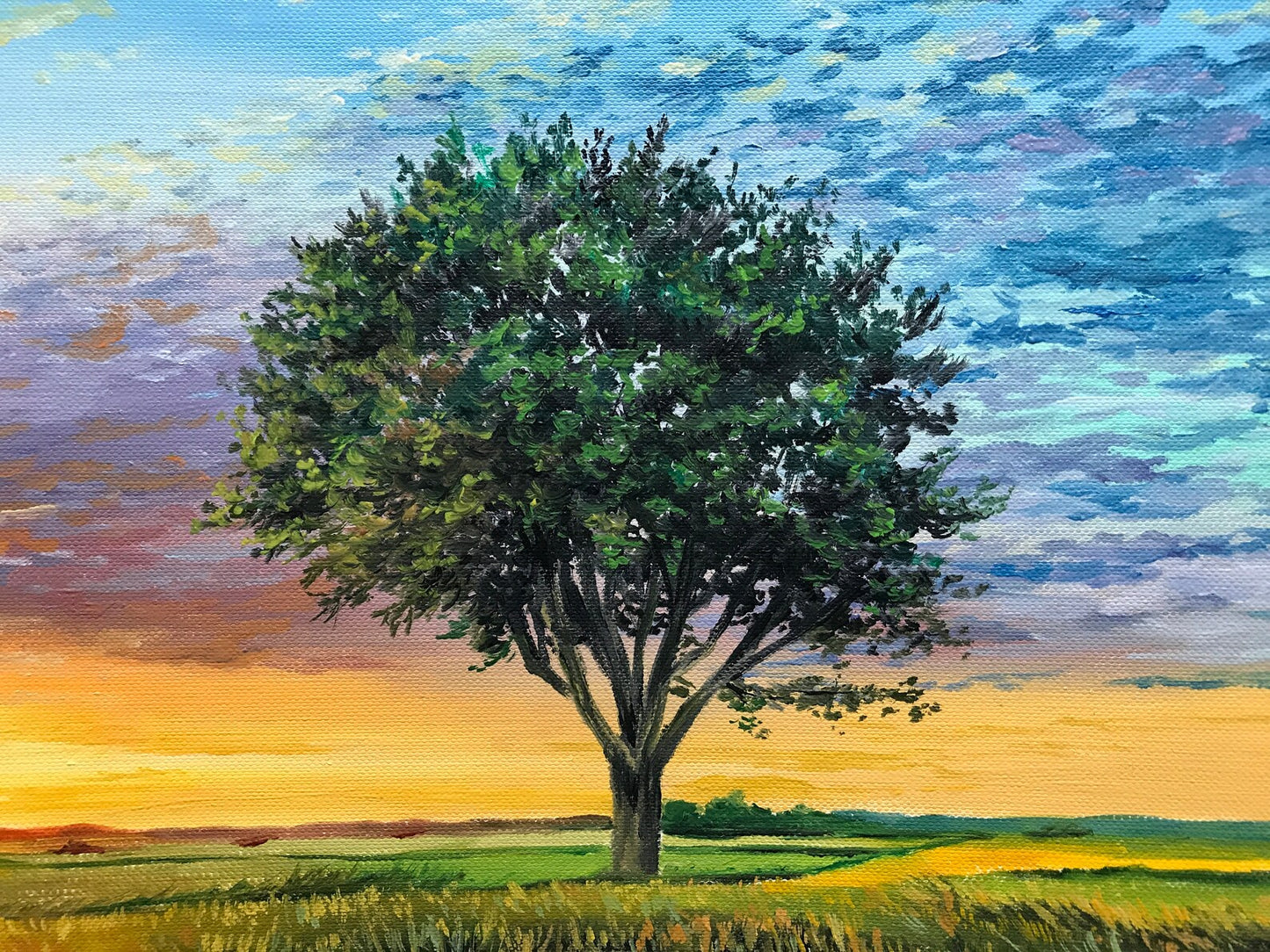 "Tree at sunset"