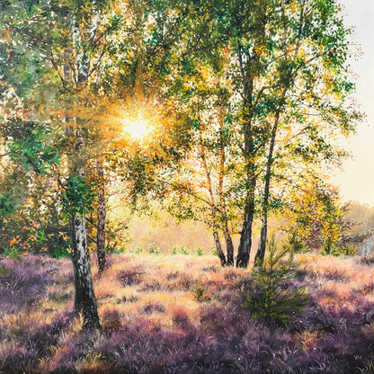 "Lüneburger Heide forrest"