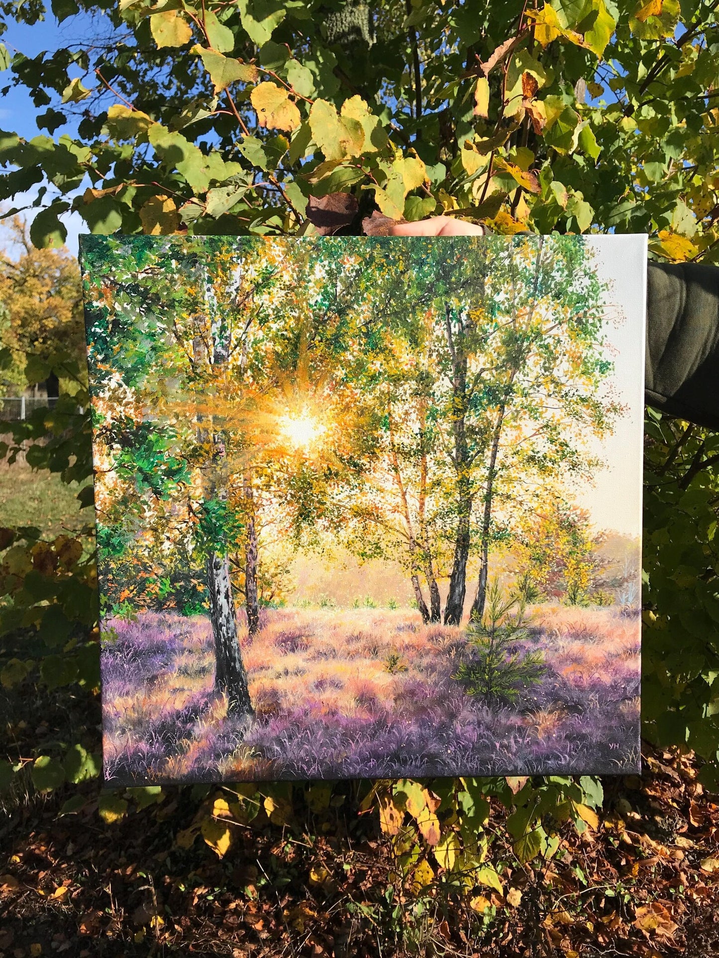 "Lüneburger Heide forrest"