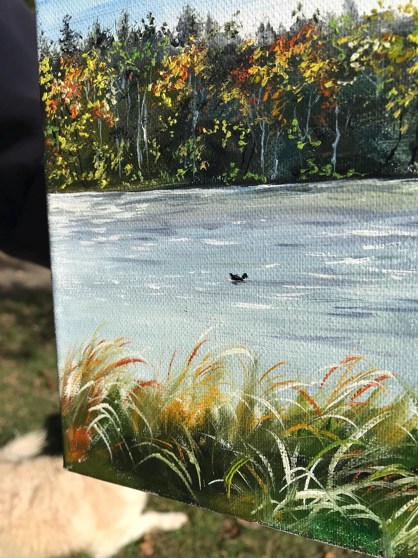 "Ellertshäuser See"