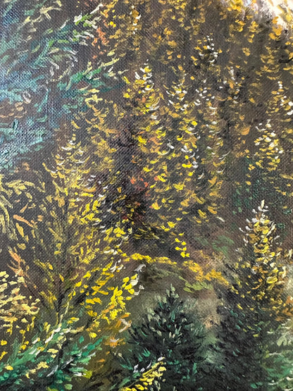 "Lac Fourchu in France"