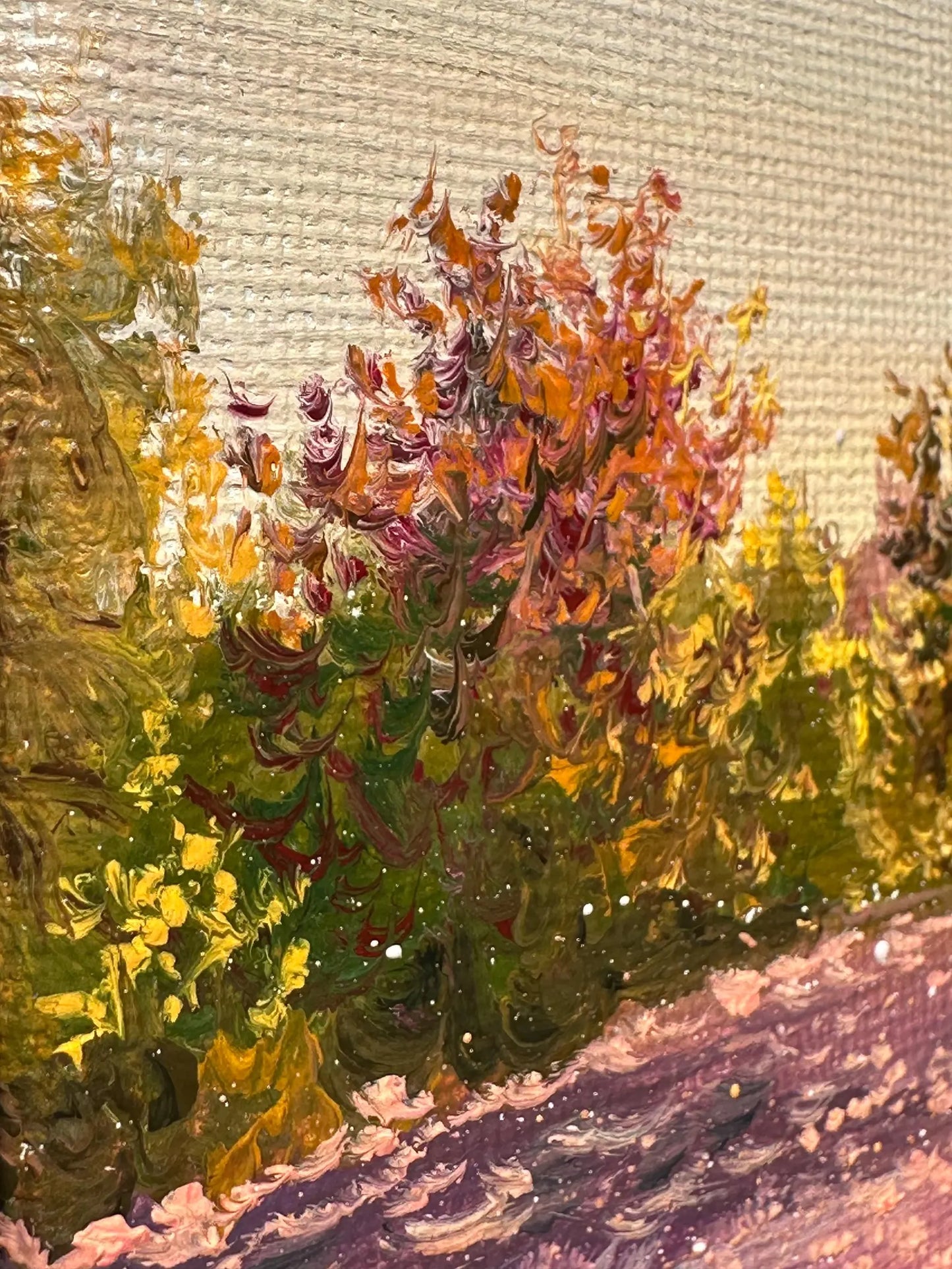 "Lüneburger Heide field"