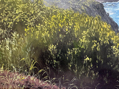 "Terceira Island in Azores"