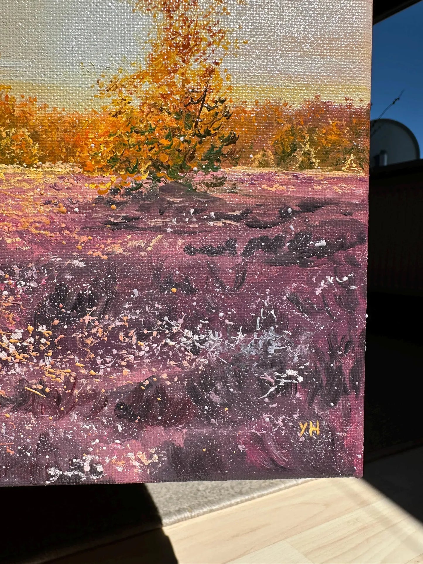 "Lüneburger Heide field"