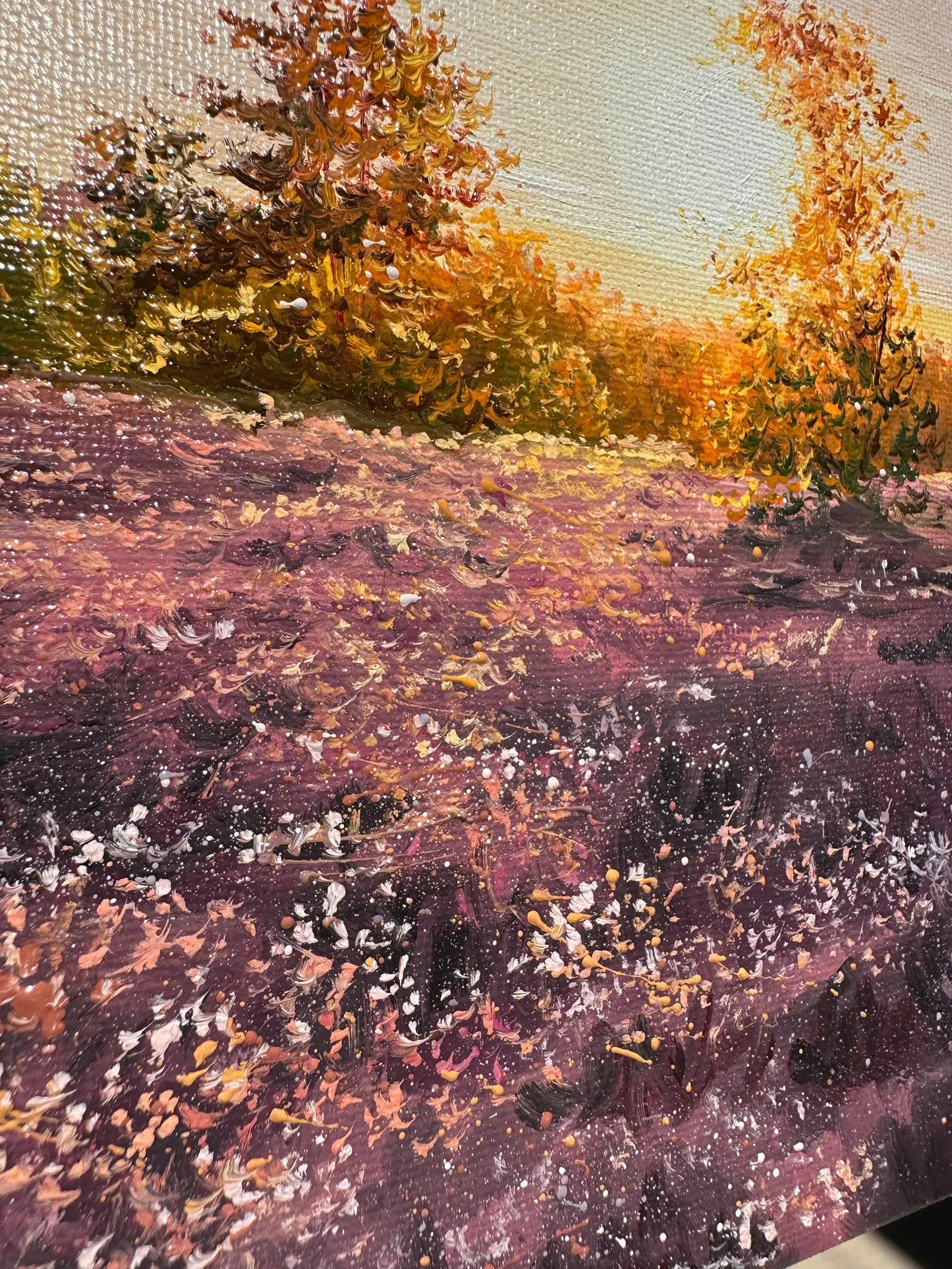 "Lüneburger Heide field"