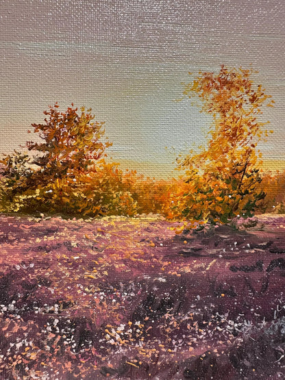 "Lüneburger Heide field"