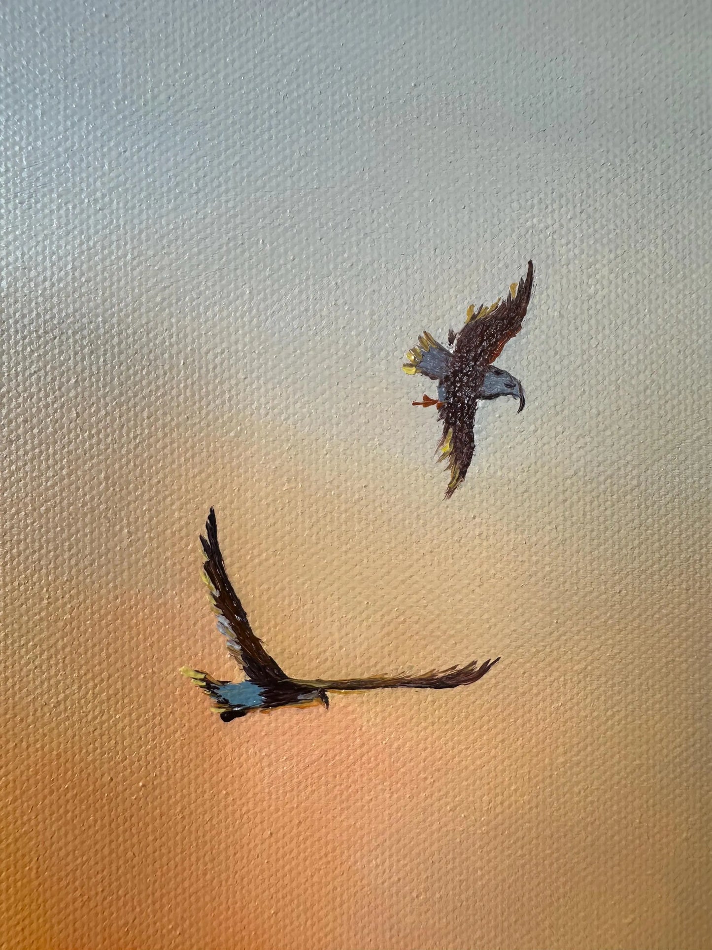 "Egyptian sunset over the Red Sea"