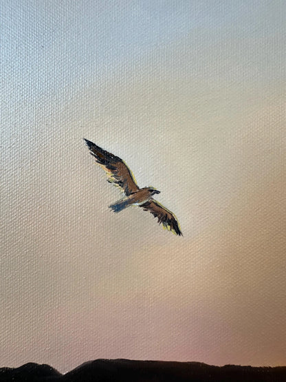 "Egyptian sunset over the Red Sea"