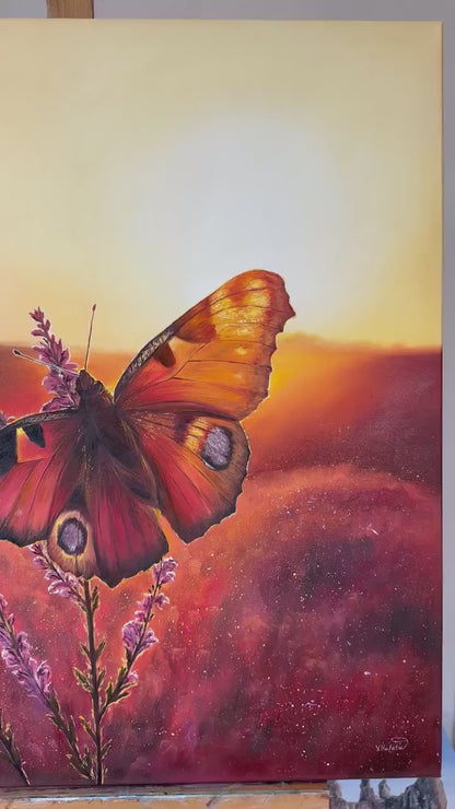 "Butterfly in Lüneburger Heide"